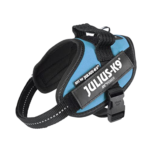 JULIUS-K9 IDC Powerharness, XS...o pull dog harness, Aquamarine - down 49.62% (£15.81) to £16.05 from £31.86