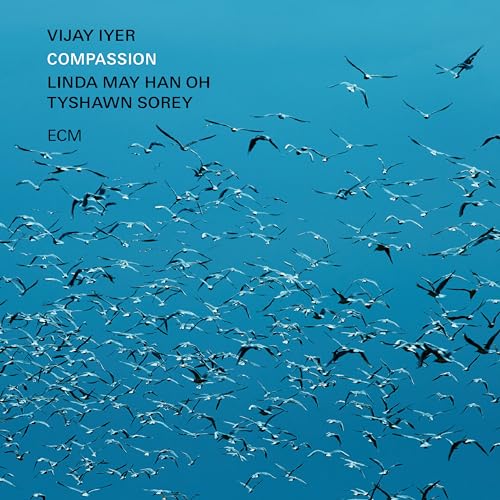 Compassion - down 21.40% (£3.85) to £14.14 from £17.99