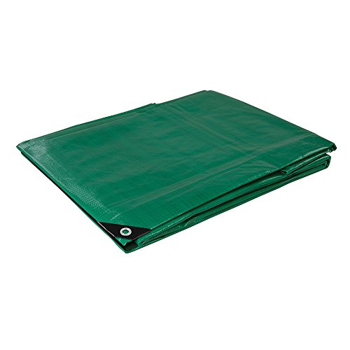 Silverline 238942 Heavy Duty T...10m / Actual 3.85 x 9.9m,Green - down 60.95% (£37.46) to £24.00 from £61.46