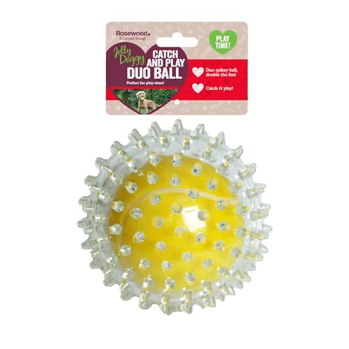 Rosewood Catch & play tennis ball - down 22.31% (£0.89) to £3.10 from £3.99