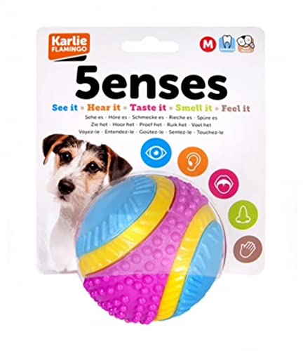 Sharples Beef Scented Five Sen...s rubber ball for dogs, medium - down 19.26% (£0.52) to £2.18 from £2.70