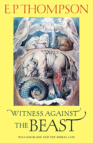 Witness Against the Beast: William Blake and the Moral Law - down 17.43% (£4.01) to £18.99 from £23.00