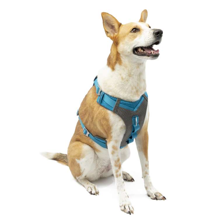 Kurgo Journey Air Dog Harness - Secure Fit for Active Dogs - Padded Chest - Lightweight Ripstop Fabric - Breathable Mesh