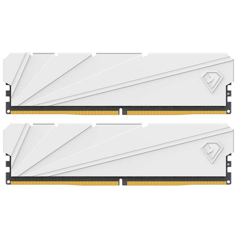 Netac DDR4 32GB RAM (2 X 16GB) 3200MHz - with heatsink - sold by Netac Official Store FBA