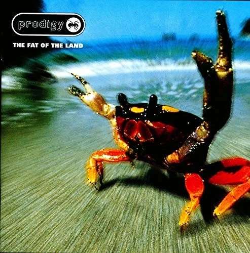 Prodigy Fats of The Land CD (Used Very Good) - sold by World of Books Ltd